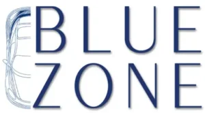 Blue Zone logo with stylized blue letters and an abstract line motif on the left side