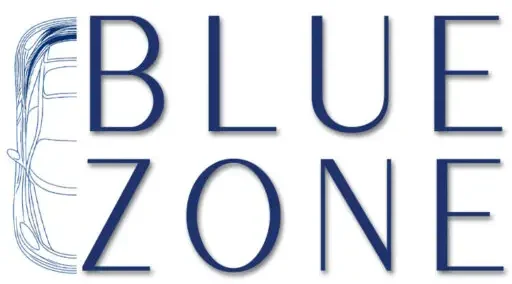 Blue Zone logo with stylized blue letters and an abstract line motif on the left side